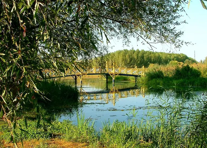 Tündérfátyol